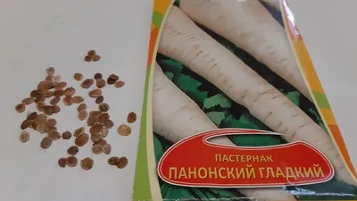 Купить семена Пастернак Лучший из всех в Минске и почтой по Беларуси