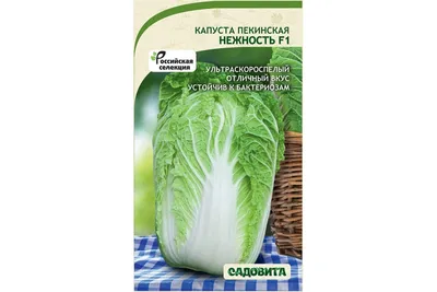 Семена Садовита Капуста пекинская Нежность F1 0.3 г 00216412 - выгодная  цена, отзывы, характеристики, фото - купить в Москве и РФ