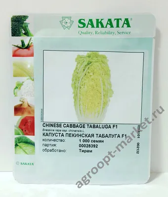 Капуста Табалуга F1 (Sakata) - купить семена из Японии оптом - АГРООПТ