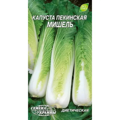 Купить семена пекинской капусты \"Мишель\" (Семена Украины) почтой | «ФАЗЕНДА»