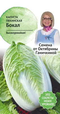 Семена капуста пекинская Семена от Октябрины Ганичкиной Бокал 1 уп. -  отзывы покупателей на Мегамаркет