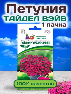 Семена петунии оптом в Новосибирске - АГРО СЕМЕННАЯ КОМПАНИЯ