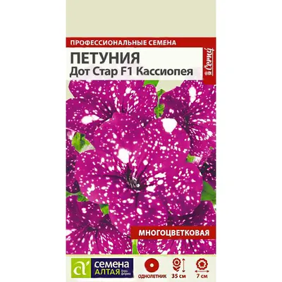 Петуния красное море - заказать семена петунии с доставкой курьером или  почтой по Беларуси