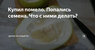 Семена помело / Citrus maxima, ТМ OGOROD - 2 семечка купить недорого в  интернет-магазине семян OGOROD.ua
