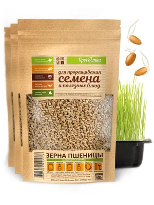 Семена пшеницы яровой, озимой в Воронеже, купить семена пшеницы яровой,  озимой оптом по доступным ценам