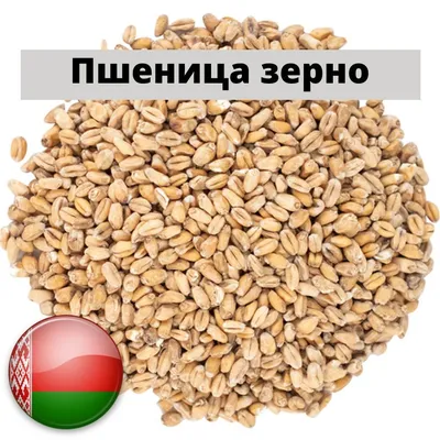 Семена Пшеница, 0,3 кг - купить в Москве, цены на Мегамаркет