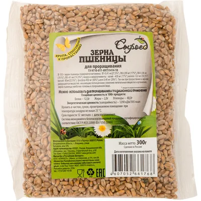 Продам: семена пшеницы сорт дарья,1репродукция в Республике Беларусь