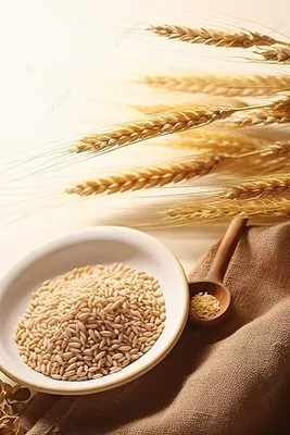 СФГ \"Балканы \" - 🌾Семена пшеницы и ячменя! ▪︎СФГ «БАЛКАНЫ» продает  высококачественный посевной материал собственного производства. ▪︎Получайте  стабильно высокие урожаи при недостаточном количестве удобрений и влаги.  ▪︎Высокопродуктивное и ...