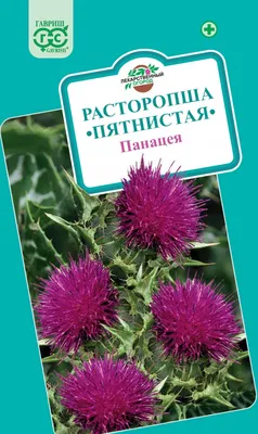 Мука ™ Eleo семян расторопши, 150 гр за 89 руб. — Зеленая Улица. Орехи,  сушеные фрукты, авторские смеси, цукаты.