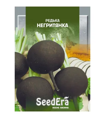 Купить семена Редьки зимней круглой белой в Украине: Цена, Характеристики,  Отзывы;