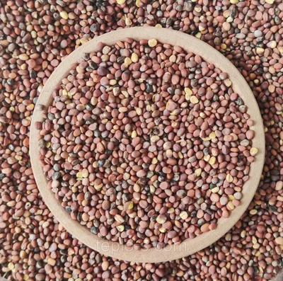 Редька Ронд де Ивер (Ронд д'Ивер) семена купить Yuksel Tohum, цена в  интернет-магазине Супермаркет Семян