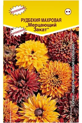 Семена рудбекия Евросемена Мерцающий закат 1 уп. - купить в Москве, цены на  Мегамаркет