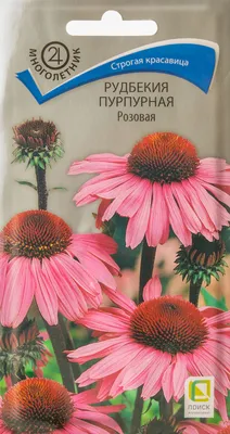 Семена Рудбекия пурпурная Розовая купить с доставкой в МЕГАСТРОЙ Россия