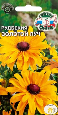 Рудбекия Золотой луч (блестящая, желтая) семена купить в Самаре по цене 32  руб.