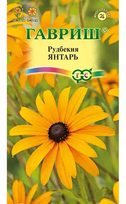 Семена рудбекия Гавриш Янтарь 10000423 1 уп. - купить в Москве, цены на  Мегамаркет