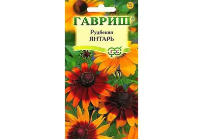 Семена рудбекии, ГАВРИШ, Янтарь 0,05 г — купить в Тамбове по цене 27 руб за  шт на СтройПортал