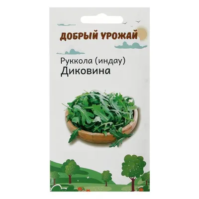 Микрозелень руккола Пасьянс (Гавриш) - купить семена из России оптом -  АГРООПТ
