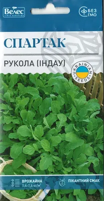 Семена руколы для открытого грунта – купить оптом в Москве: описание,  характеристики, фото и отзывы | Цены от производителя Гриномика