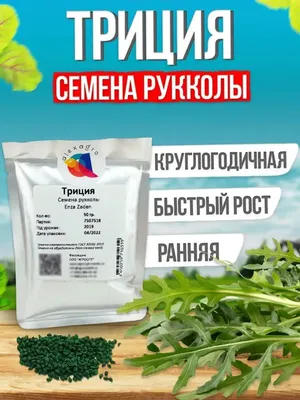 Триция семена салата руккола купить от Enza Zaden, цена в интернет-магазине  Супермаркет Семян