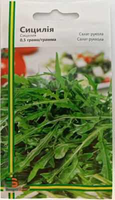Семена руколы Летиция (1000000 шт) (id 77104499), купить в Казахстане, цена  на Satu.kz