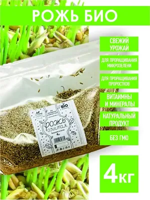 Семена сидерат Рожь озимая 0,5 кг (id 73468577), купить в Казахстане, цена  на Satu.kz
