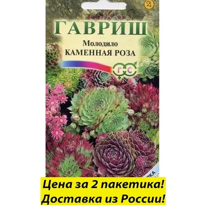 Отзыв о Семена AliExpress | Разочарована, но верю что есть и добросовестные  продавцы