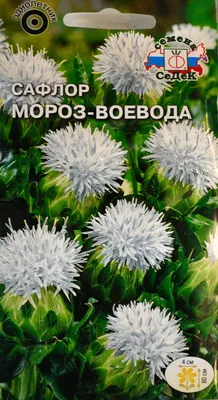 Семена сафлора «Солнечный», НПФ «Дриада» - 20 семян купить недорого в  интернет-магазине семян OGOROD.ua