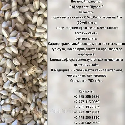 Семена Сафлора сорт \"Нурлан\" Казахстан (id 96418932), купить в Казахстане,  цена на Satu.kz