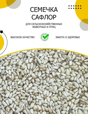 Семена сафлора в Воронеже, купить семена сафлора оптом по доступным ценам