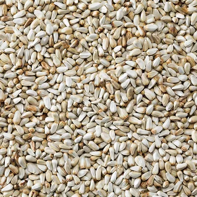 Сафлор семечка семена сафлора 5кг - купить с доставкой по выгодным ценам в  интернет-магазине OZON (801964045)