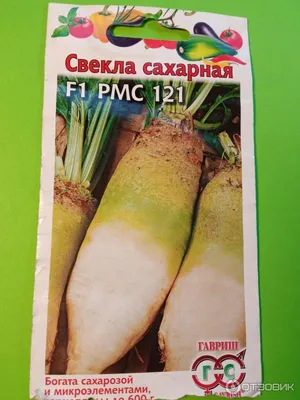 Ямполь свекла сахарная семена купить Польша, цена в интернет-магазине  Супермаркет Семян