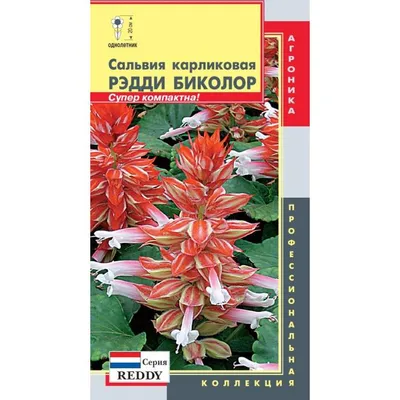 Сальвия блест. Виста Ред Купить элитные семена онлайн доставка по РФ |  Гавриш шоп