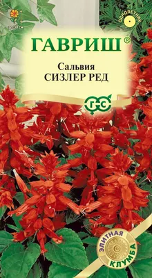 Семена сальвии Пиколо красная 5 гр Hem Zaden купить в Украине - фото,  отзывы, описание ᐉ Agriks.com.uа