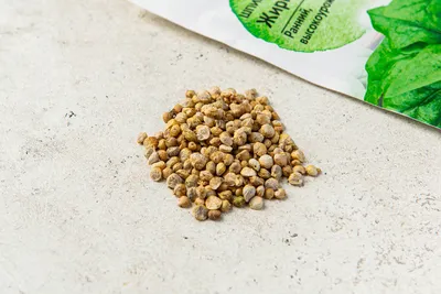 Семена «Шпинат Жирнолистный» 2 г с бесплатной доставкой на дом из  «ВкусВилл» | Саратов
