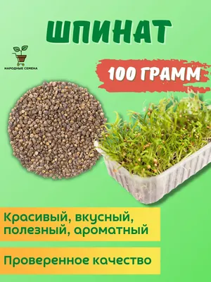 Набор семян Шпинат Жирнолистный 2 г - 2 уп., семена Шпината для выращивания  на подоконнике | AliExpress