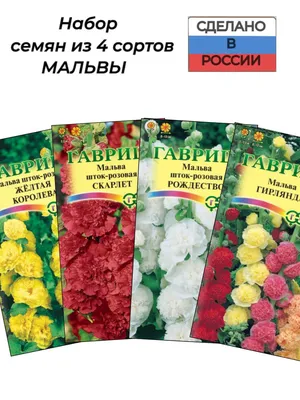 Семена растений цветов Шток роза Королевская (2 пакетика по 0,1г/20шт в  каждом) | AliExpress