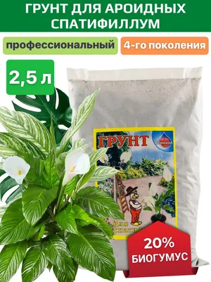 Семена Спатифиллум – купить на OZON по низкой цене