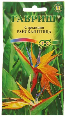 Семена стрелиция Гавриш Райская птица 57802 1 уп. – купить в Москве, цены в  интернет-магазинах на Мегамаркет