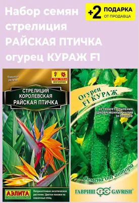 Семена стрелиция Русский огород Королевская 110198 1 уп. - купить в Москве,  цены на Мегамаркет