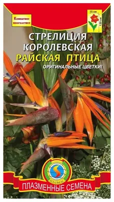 Семена стрелиция Плазмас королевская Райская птица 207626 1 уп. - купить в  Москве, цены на Мегамаркет