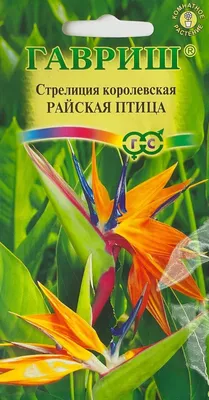 Райская птица семена стрелиции (Hem Zaden) | доставка почтой по Украине