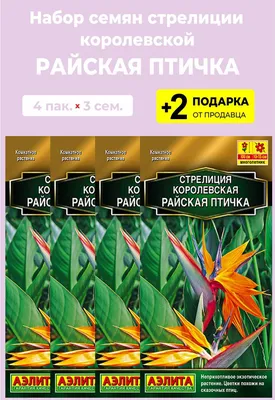 Стрелиция королевская Райская птичка (семена,цветы) купить по цене 199 ₽ в  интернет-магазине KazanExpress