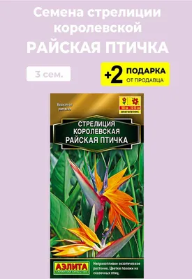 Семена Стрелиция Николая 5шт. (Strelitzia nicolai) K-Lime 166729785 купить  за 404 ₽ в интернет-магазине Wildberries