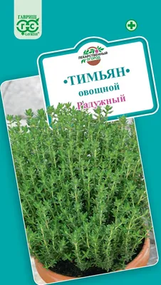 ✓ Семена Тимьян овощной (чабрец) Радужный, 0,05г, Гавриш, Лекарственная по  цене 30 руб. ◈ Большой выбор ◈ Купить по всей России ✓ Интернет-магазин  Гавриш ☎ 8-495-902-77-18