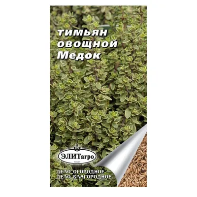 Семена Аэлита Тимьян (Чабрец) овощной Медок - «🌿Выращивание многолетнего  тимьяна требует особого подхода, но результат меня порадовал 🌱» | отзывы