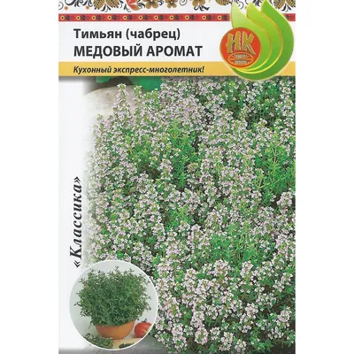 Семена Тимьян (чабрец) Медовый аромат, 0,05 г Русский огород - отзывы  покупателей на Мегамаркет