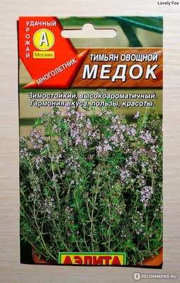 Семена Аэлита Тимьян (Чабрец) овощной Медок - «🌿Выращивание многолетнего  тимьяна требует особого подхода, но результат меня порадовал 🌱» | отзывы