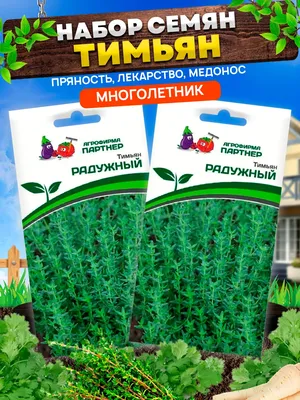 Семена Тимьяна Радужный пряного АГРОФИРМА ПАРТНЕР 60733225 купить за 163 ₽  в интернет-магазине Wildberries