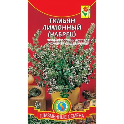 Купить семена: Тимьян Лимонный (Чабрец) - цены,фото,отзывы |  Green-Club.com.ua