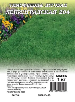Семена Тимофеевка луговая 50 гр. | AliExpress